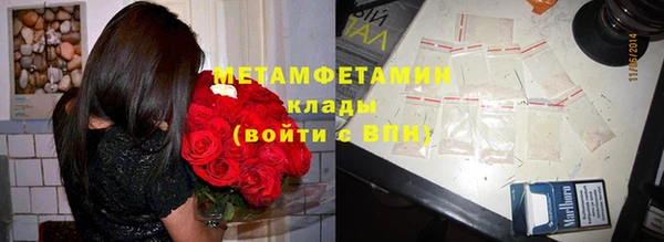 индика Волосово