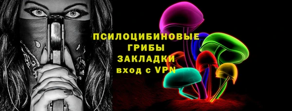 трава Шарыпово