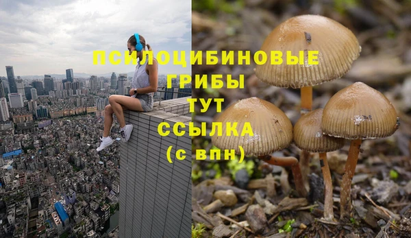 каннабис Волоколамск