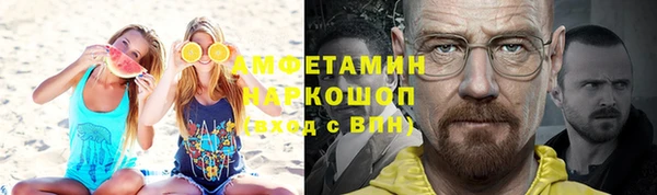 индика Волосово