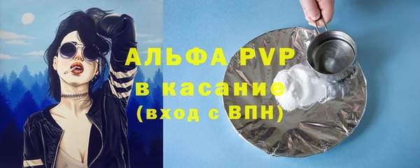 индика Волосово