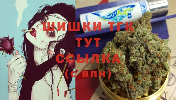 трава Шарыпово