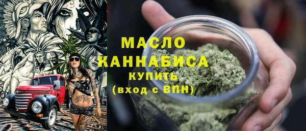 индика Волосово