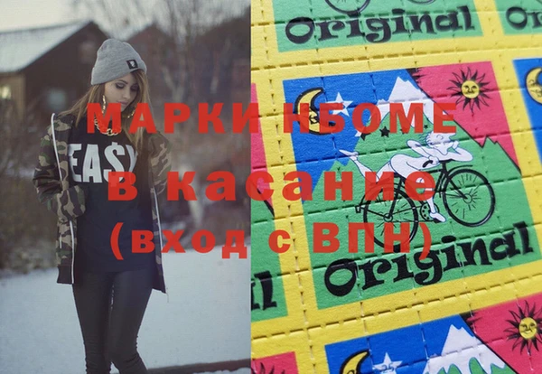 индика Волосово