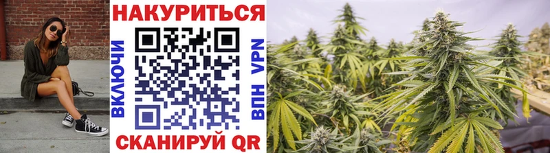 закладка  Лосино-Петровский  МАРИХУАНА LSD WEED 